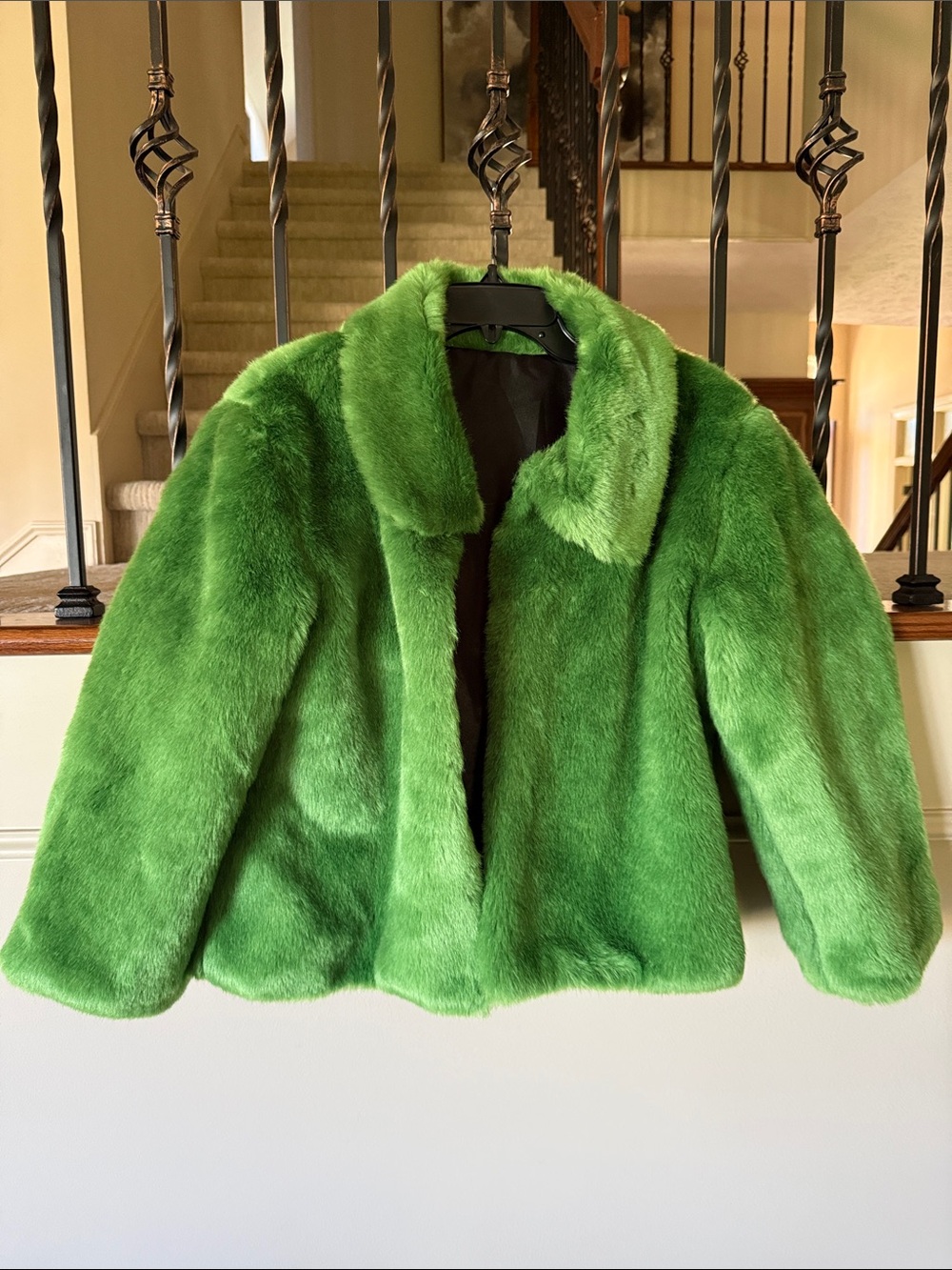 Women’s Green Plush Teddy Jacket - Luxe Faux Fur Coat.So cute!!Fits L/XL. NWOT